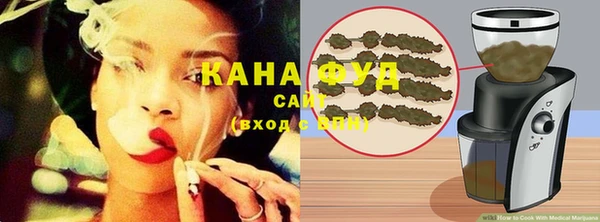 дживик Лагань