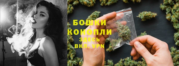 дживик Лагань