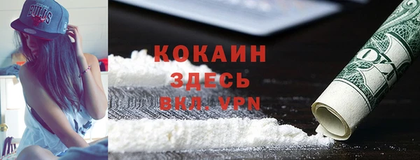 дживик Лагань